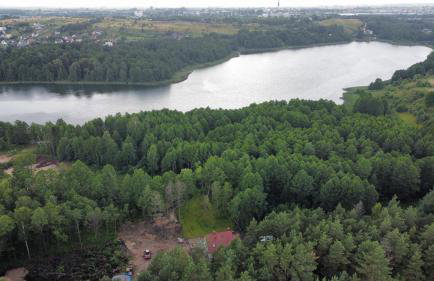 Dom w głębi lasu - Foto 1