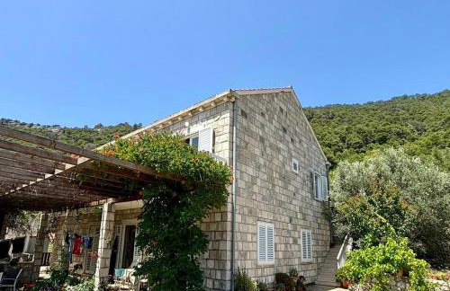 Apartments Soline - National park Mljet - Photo 7