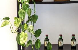 Appartamento Martesana - Foto 11