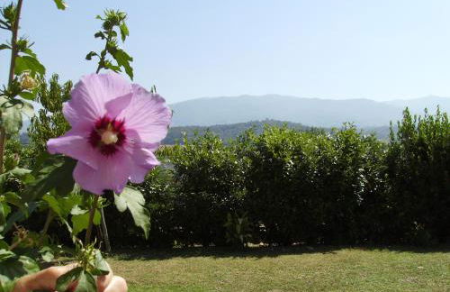 Agriturismo La Querce - Foto 42