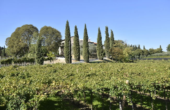 Country House Le Palazzole - Foto 21