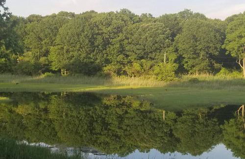 Luxury 5 Star Home with Amazing Water Views - Foto 43