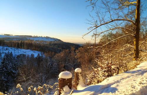 Ferienwohnung Steinachblick - Photo 24