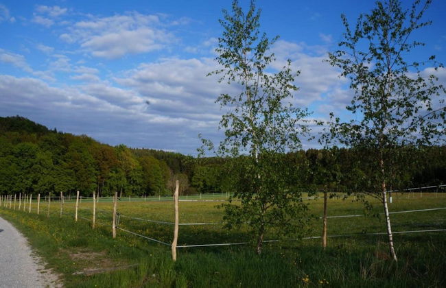 Stylish Kammerstein Stay - Foto 29