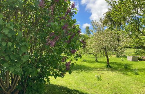 Forsthaus in Waldhessen - Foto 44