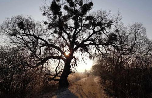 Apartament w Supraślu - Foto 8