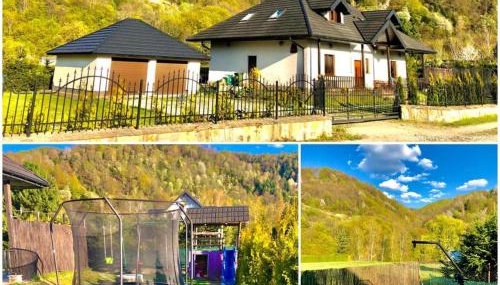 Willa Jagoda duży domek w górach 12-15 osób,jacuzzi, kominek,bilard - Foto 3, Garden