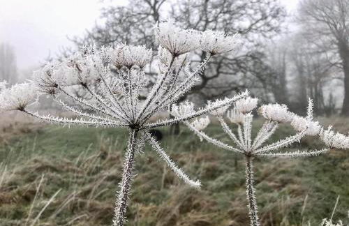Wilf's Barn, romantic cottage with free parking - Foto 31