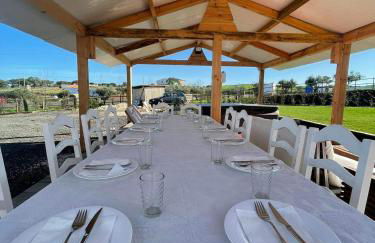 Monte do Carapetal - Foto 6