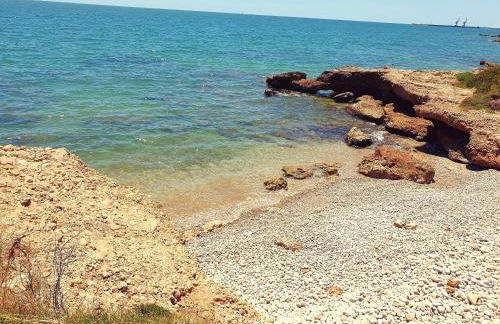 Ca la Mercè - Foto 37