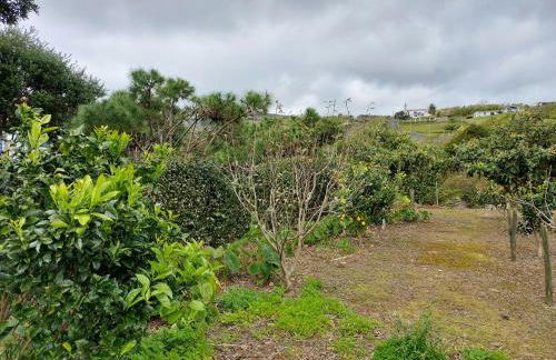 Retiro das Camélias 2 - Foto 35