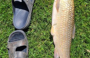 Domki nad stawem w Harszu - Foto 25