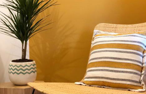 Amor di Casa - Foto 1