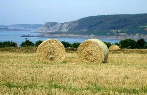 Gîtes Merour - Telgruc - Foto 27