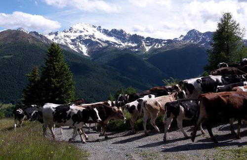 Agriturismo Raethia - Foto 26