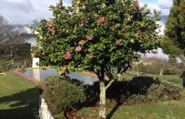 Quinta da Calçada - Foto 14