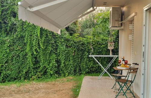 Phivos Home & Garden - Foto 39