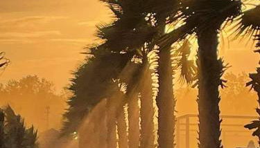 La dolce dimora - Foto 3