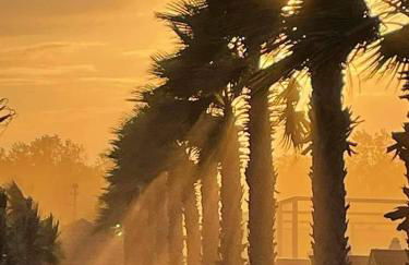 La dolce dimora - Foto 3