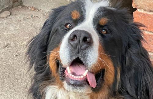 Agriturismo con cucina Il Favaio - Foto 47