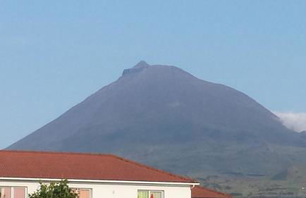 Adega dos Terceira - Photo 19