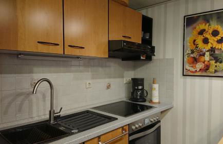 Ferienwohnung Sonnenblick - Foto 19