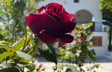 GArt House Holiday Home - Foto 21