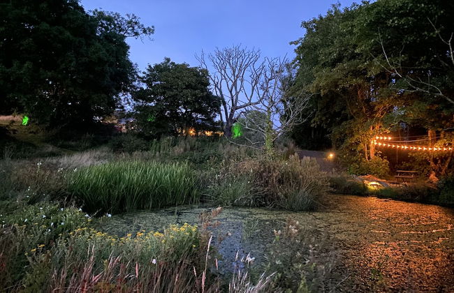 Foxglove - Luxurious Barn Conversion - Foto 50