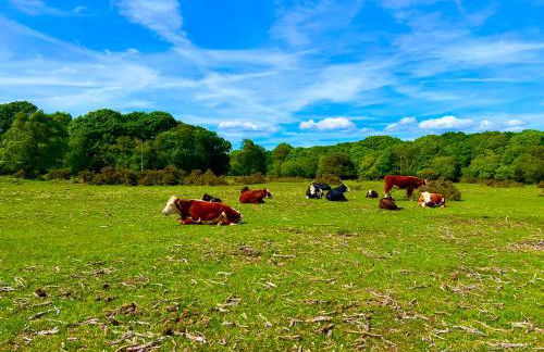 Jungle lodge - Photo 55