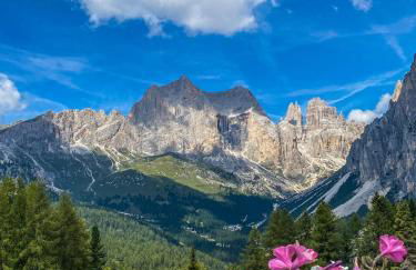 Cesa Bernard - Apartment Cima 12 e new Apartment Fraine - Foto 35