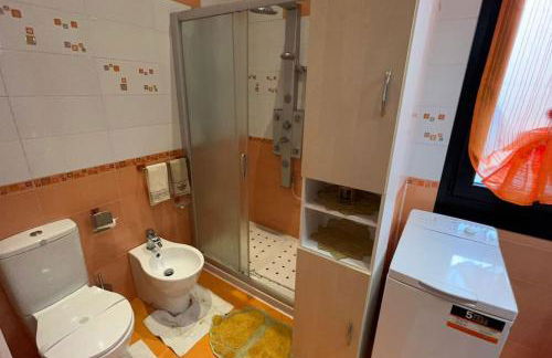 i tulipani - Foto 41