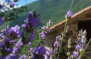 La Casetta della Nonna - Foto 27