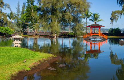 Direct Oceanfront Mauna Loa Shores Honu Elua #508 next to Carlsmith Beach park, Hilo HI - Foto 34