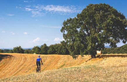 Castello di Santa Cristina - Foto 39