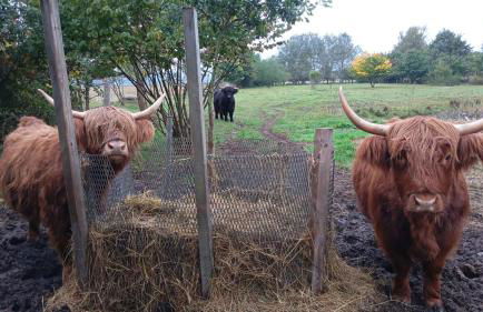 Apartment Hof Schwalbennest - Foto 16