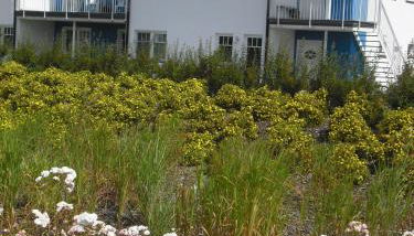 "Strand-Gut" - Foto 3