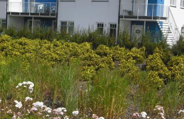 "Strand-Gut" - Foto 3