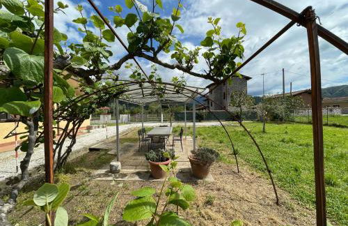 LEMON VILLA - Foto 26