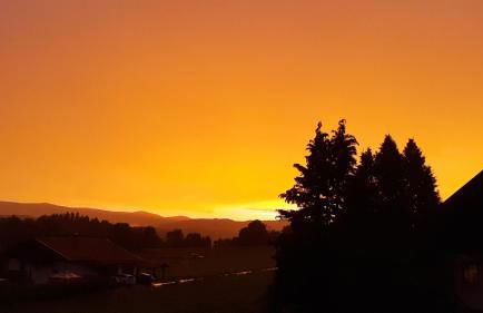 Hauptstraße 19 - Foto 31