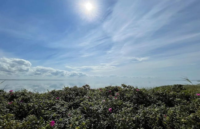 2 Person Holiday Home in Ringkobing - Photo 49