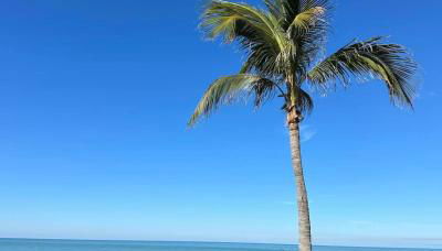 Captiva Bayside Villas 1 Bedroom 2 Bath - sleep 4 - Foto 4