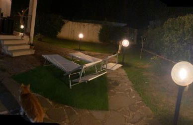 Villa Cavalluccio Marino con piscina idromassaggio - Foto 47