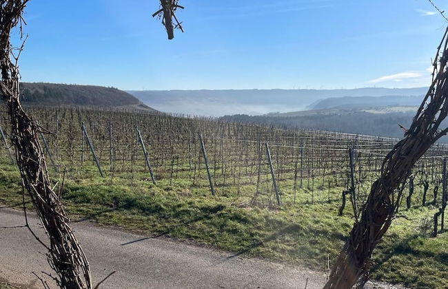 Ferienwohnungen Moselblick Bekond - Foto 8