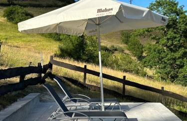 AIRE DE PICOS Sur - Foto 14