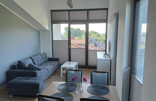 Apartamenty Kasztanowa Zator - Foto 11