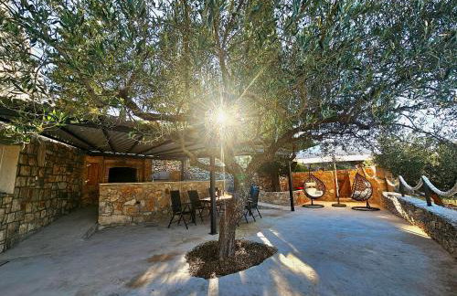 Villa Broč - Photo 68