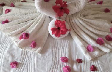 Solar Água Pipa Verão - Foto 10