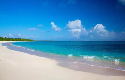 Remodeled 4BR Pool Home/IMG Golf View/Near Beaches - Photo 39