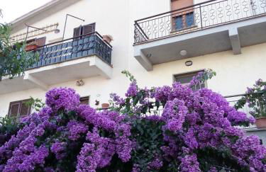 La Bouganville - Foto 56