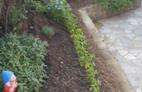 Agriturismo Cele - Foto 33